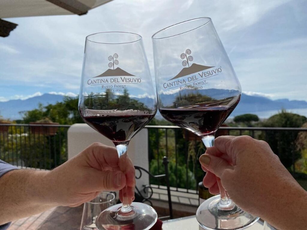 Vineyard on the slopes of Mount Vesuvius producing Lacryma Christi wine.
