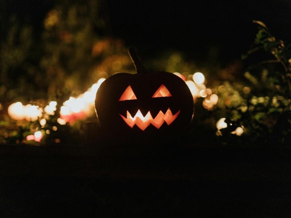 Halloween photography