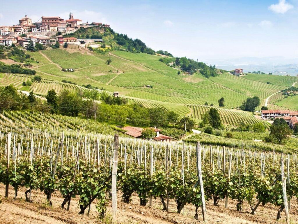 Rolling vineyards and hilltop village near Barolo in the Langhe region.
