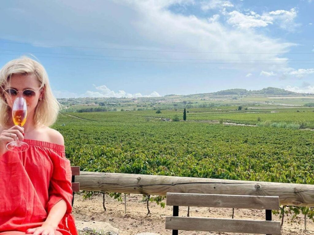 Cava glasses and vineyard view in Penedès wine region near Barcelona
