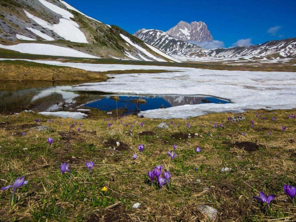 Snow-covered ski slopes in Gran Sasso with skiers and mountain huts under a bright winter sky