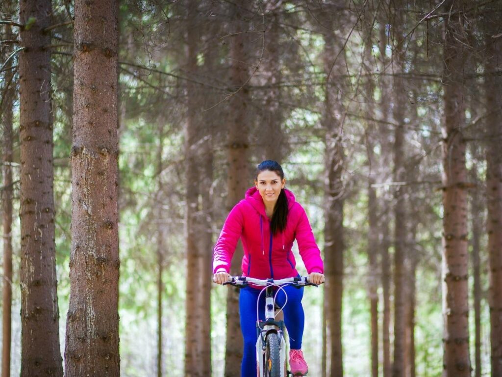 Cyclists on a shaded pine trail near Jesolo with sunlight through trees