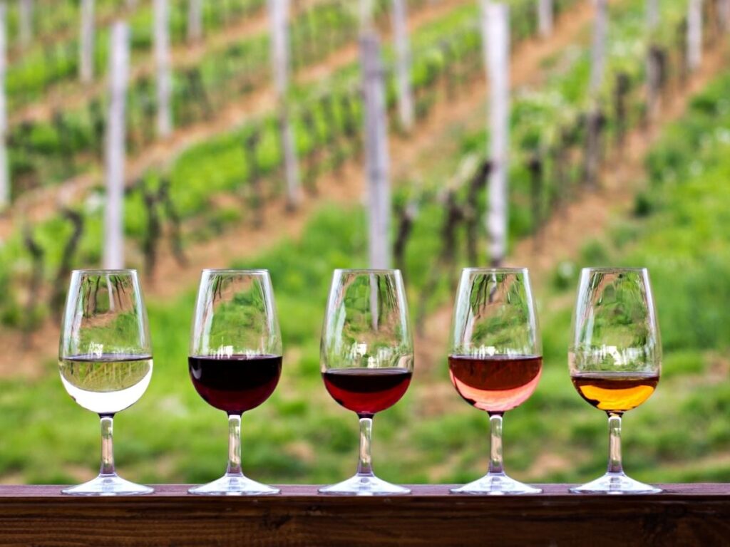Sunlit vineyard near Bardolino with wine glasses on a table during a tasting