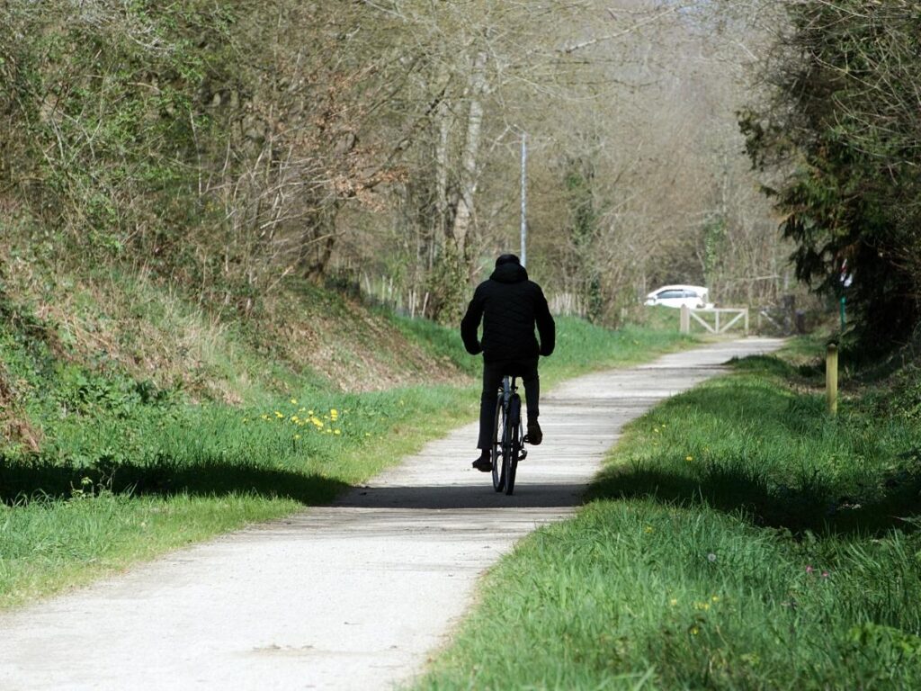 Cycling path through the pine forest of Lignano Pineta with dappled sunlight."