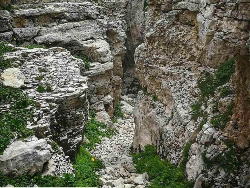 Hiker walking a narrow mountain trail through wildflower-strewn meadows with rocky majella slopes beyond.