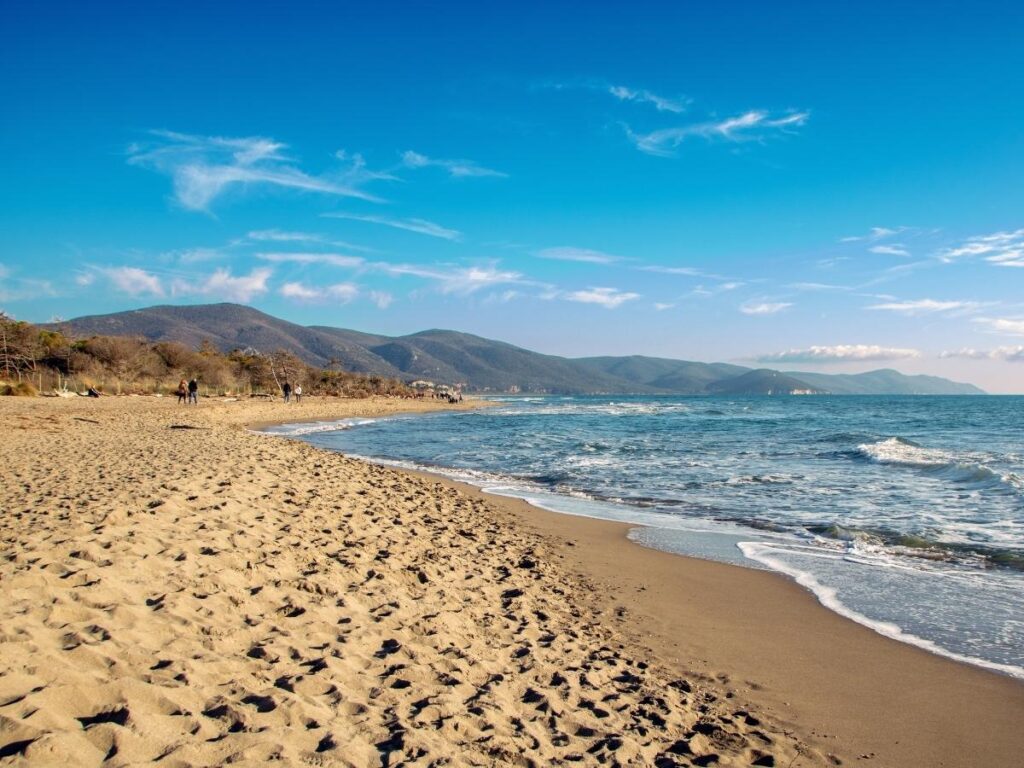 Quiet sandy beach at Marina di Petacciato backed by pine trees and calm Adriatic waves.