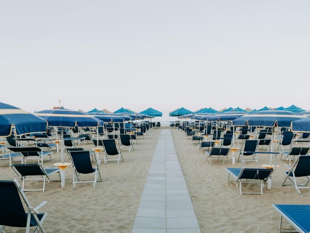 Wooden crates of seasonal vegetables, cheeses, and jars of preserves at a small Molise market stall.
