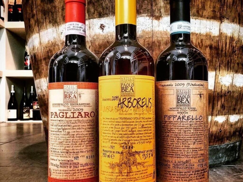 Winemaker pouring Sagrantino at a tasting table overlooking Montefalco vineyards