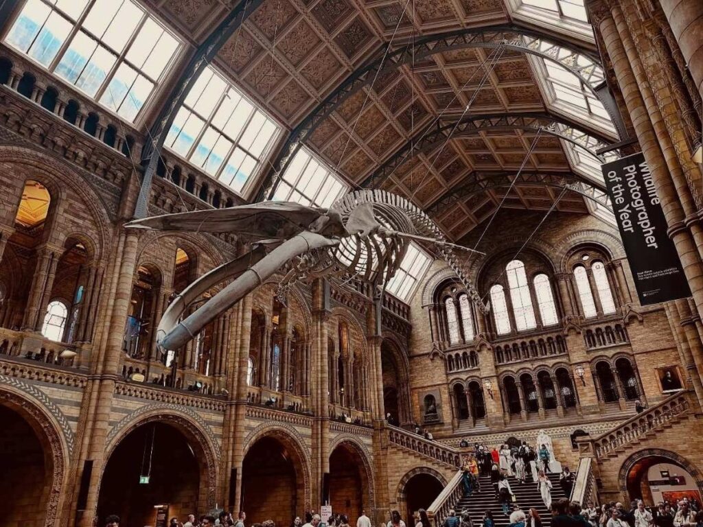 The grand façade of the Natural History Museum in South Kensington, London, on a sunny day.