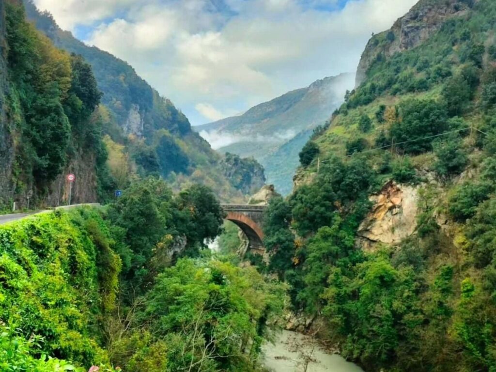 Ancient Bosnian pine trees and rolling mountains inside Pollino National Park, Basilicata.