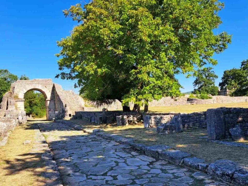 Stone gate and Roman ruins of Saepinum (Altilia) surrounded by grass and wildflowers on a sunny day
