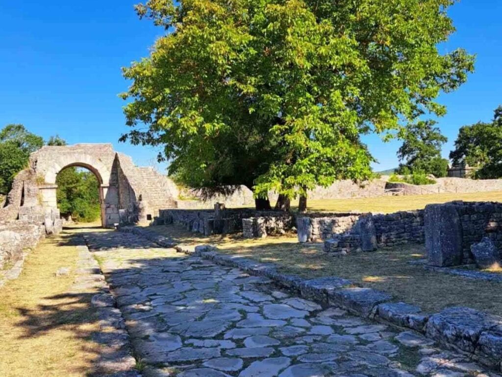 Ancient paved street and ruined columns at Saepinum (Altilia) with grassy patches and a blue sky.