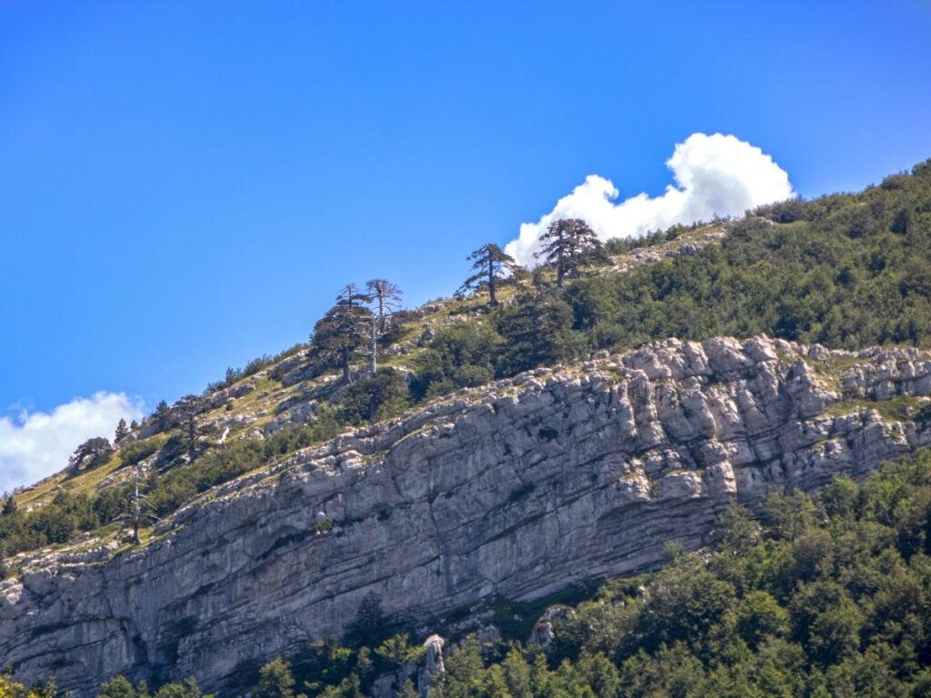 Panoramic view from the Serra di Crispo summit showing distant coastline on a clear day