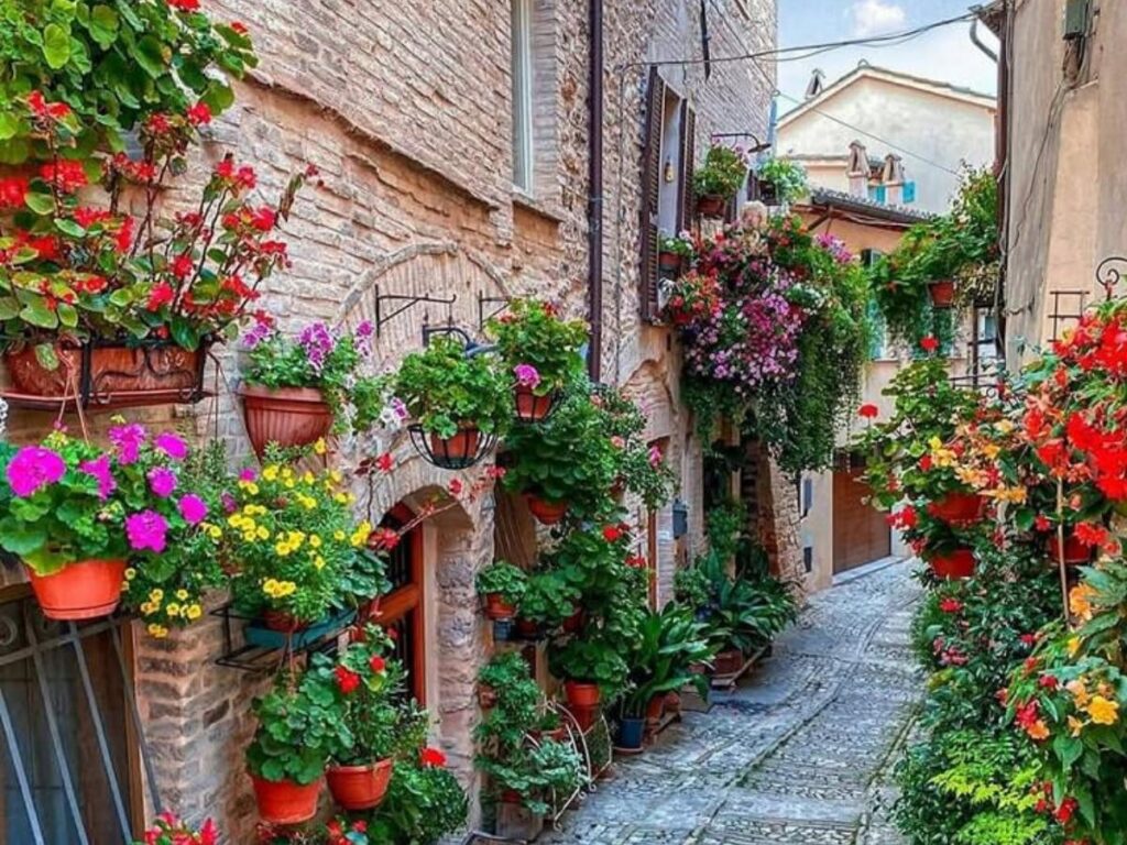 Narrow lane in Spello lined with balconies overflowing with geraniums and flowers