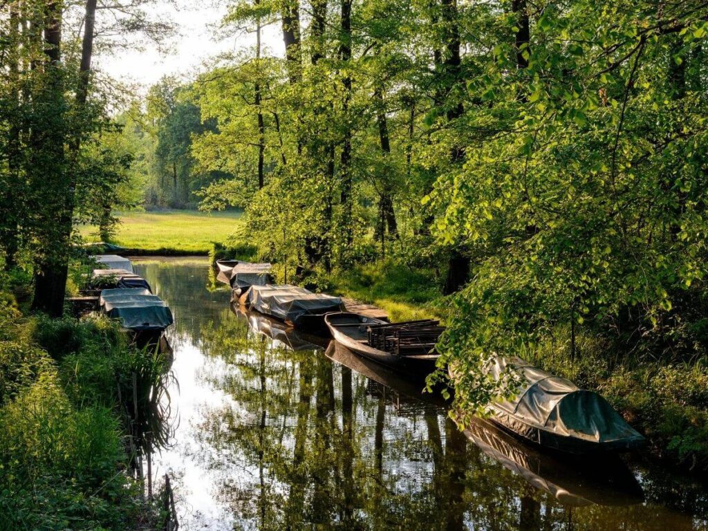 Traditional wooden punt gliding through green forest canals of Spreewald, Germany