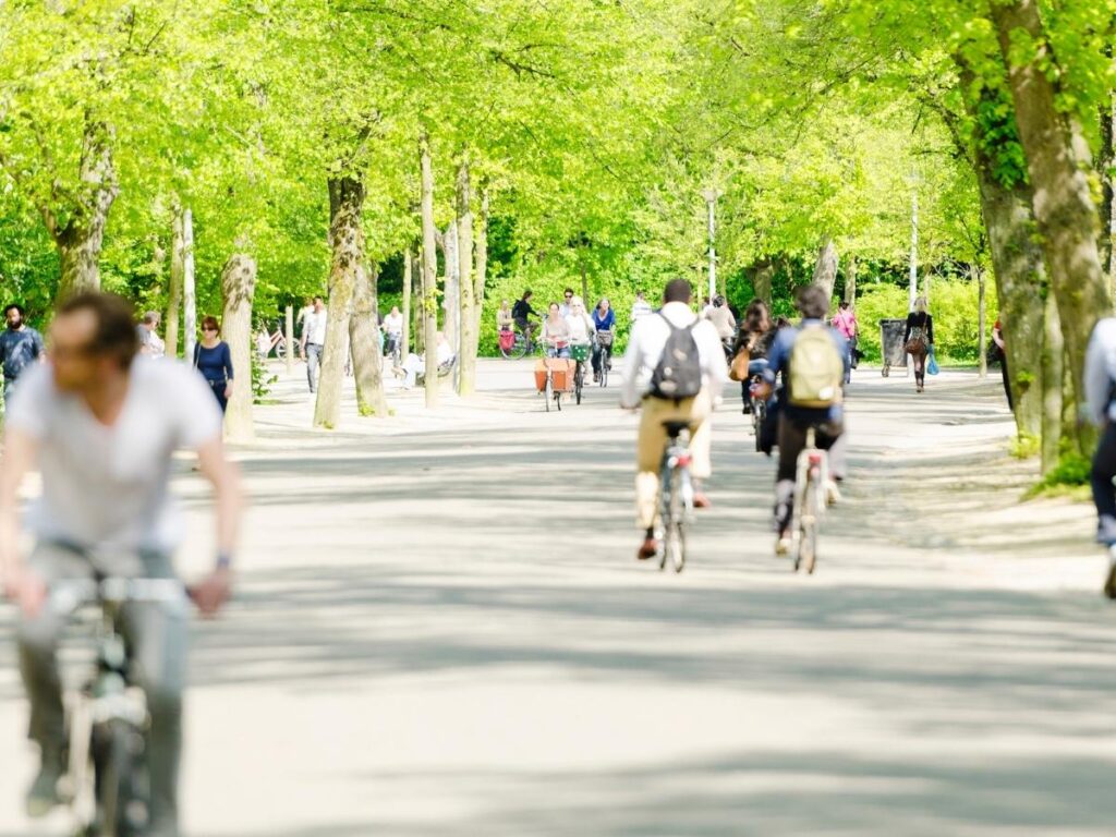 People picnicking on grass in Vondelpark with parked bicycles and trees in the background