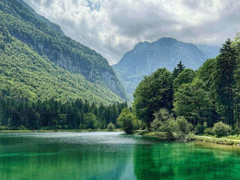 Mountain viewpoint at Eagle’s Nest with alpine panorama.