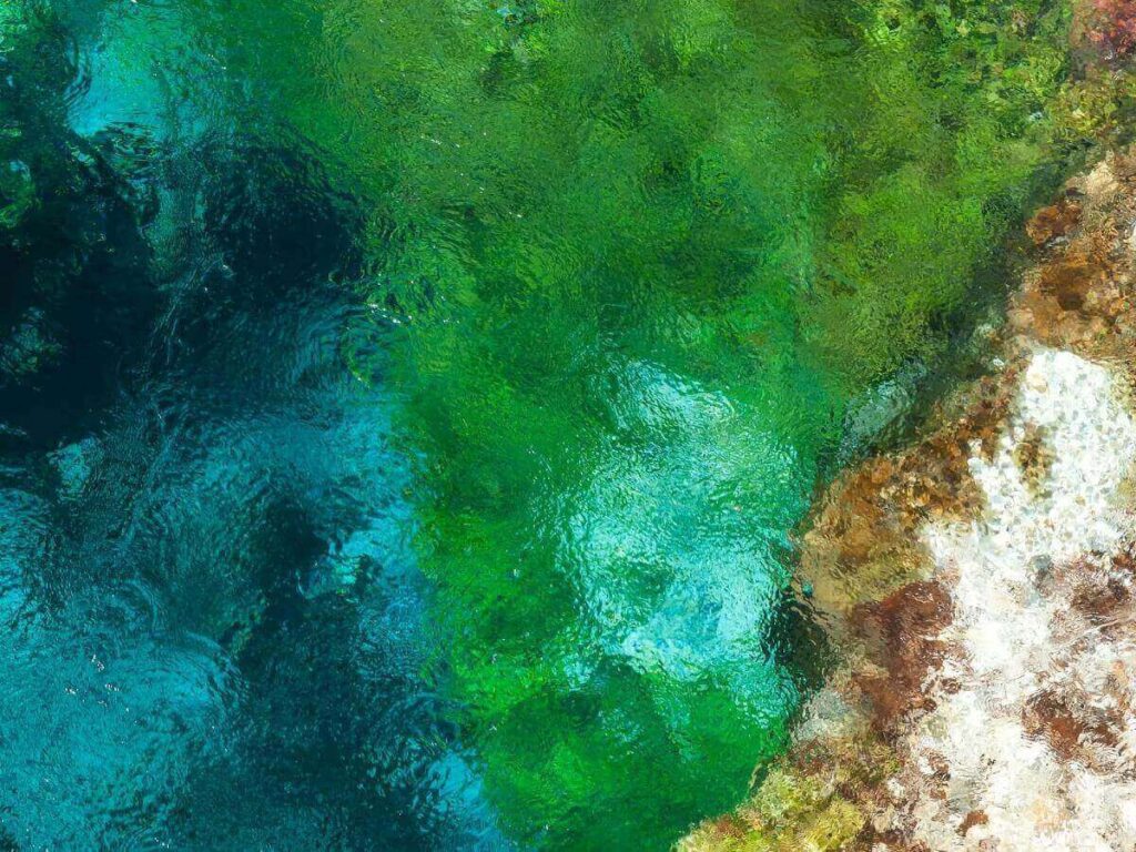 The intense blue spring of Syri i Kaltër surrounded by forest and a shaded visitor platform