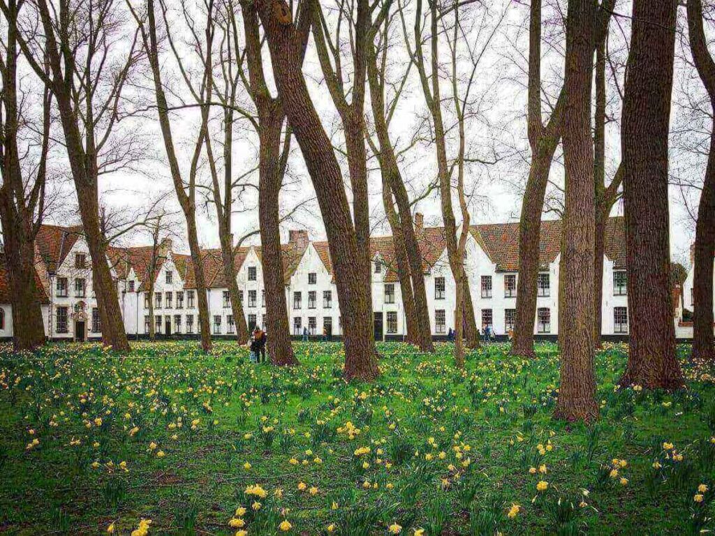 Whitewashed houses and peaceful courtyard at the Beguinage in Bruges