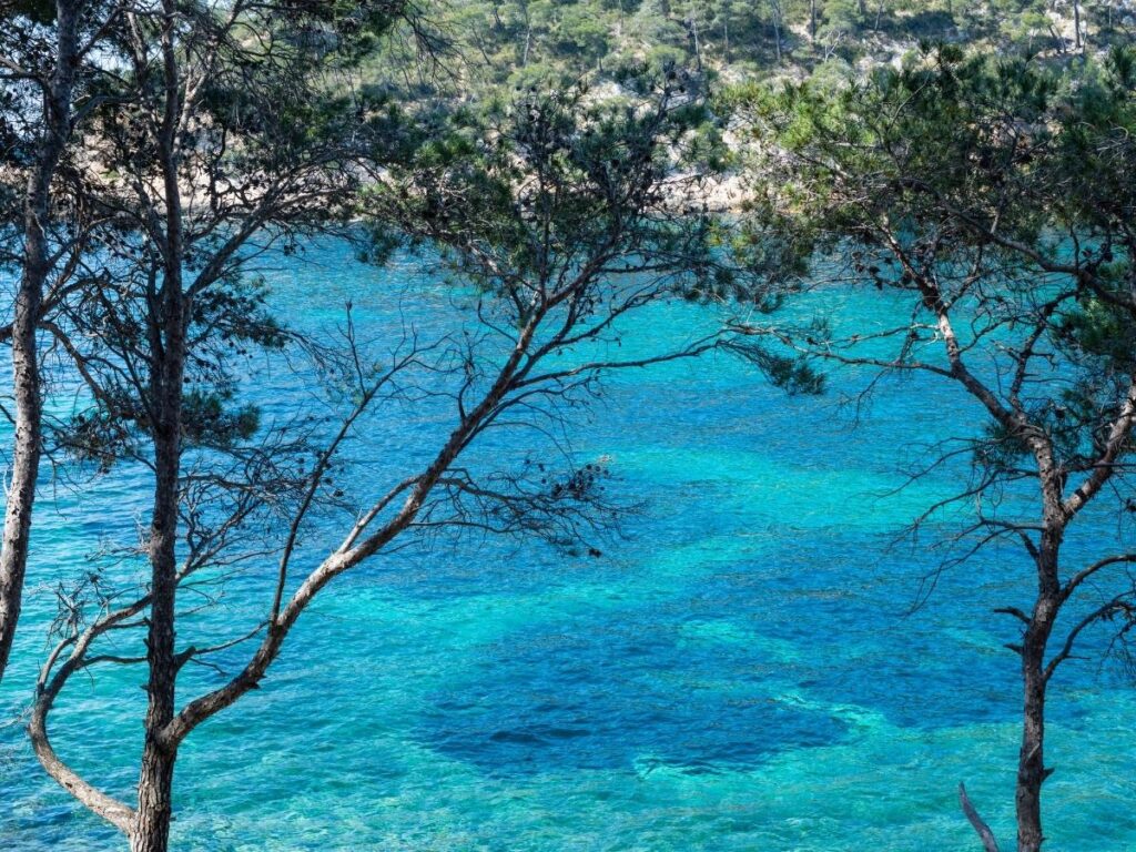 Turquoise cove framed by white limestone cliffs in the Calanques near Marseille