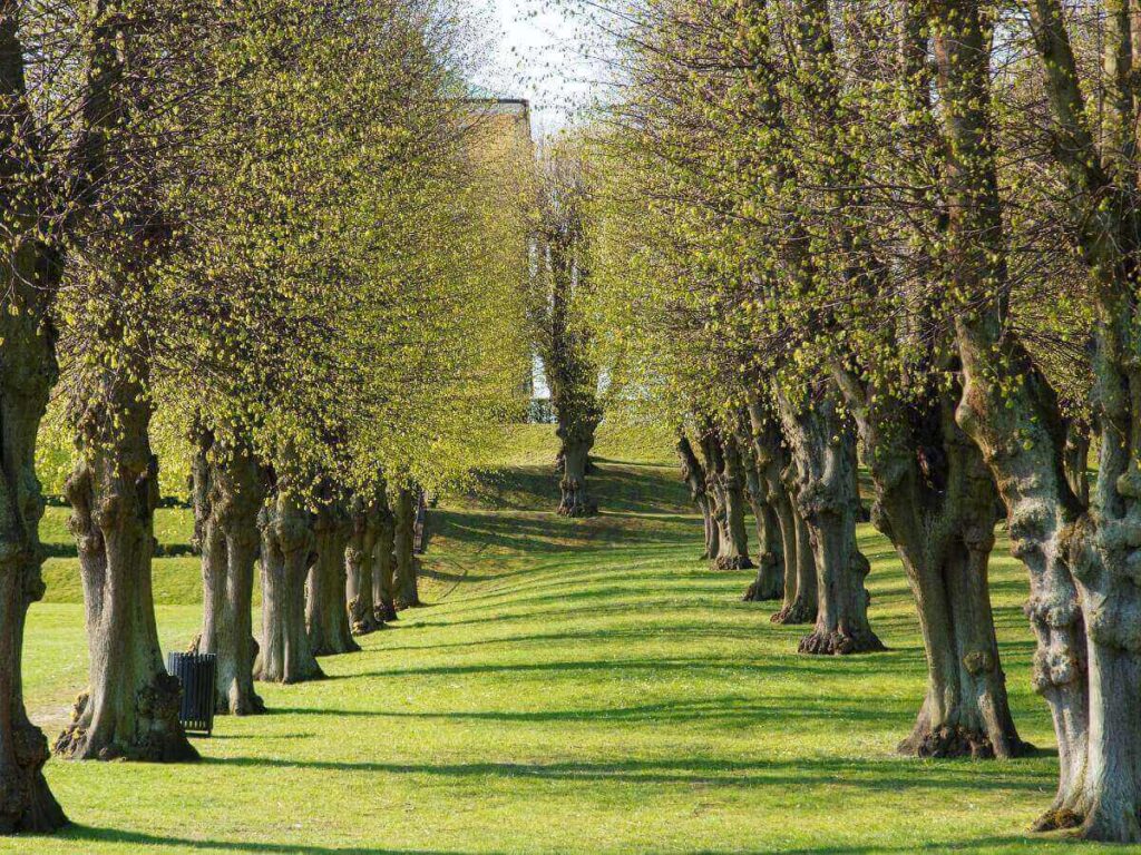 Locals walking and picnicking in Frederiksberg Gardens on a sunny afternoon