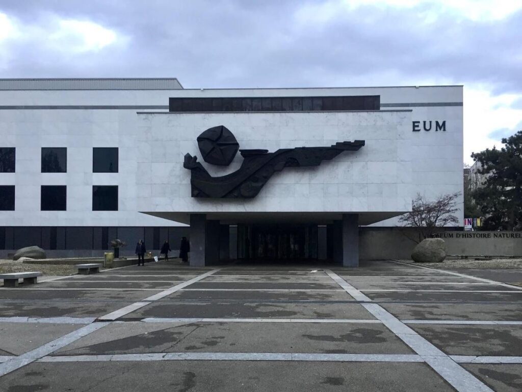 Children examining an exhibit at the Natural History Museum in Geneva