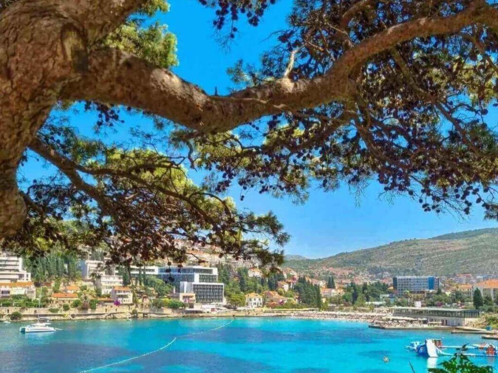 Pine-lined Lapad promenade at sunset with people walking and benches