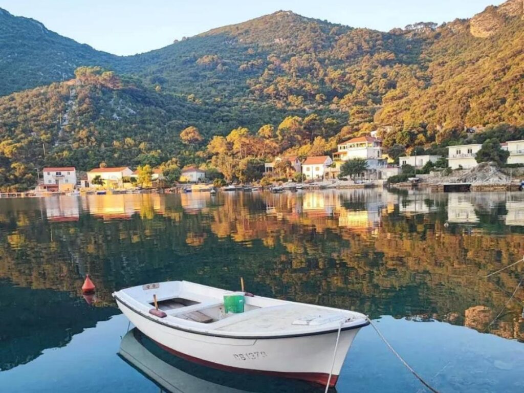 Quiet street in Babino Polje with stone houses, fig trees, and a cat sunning on the road