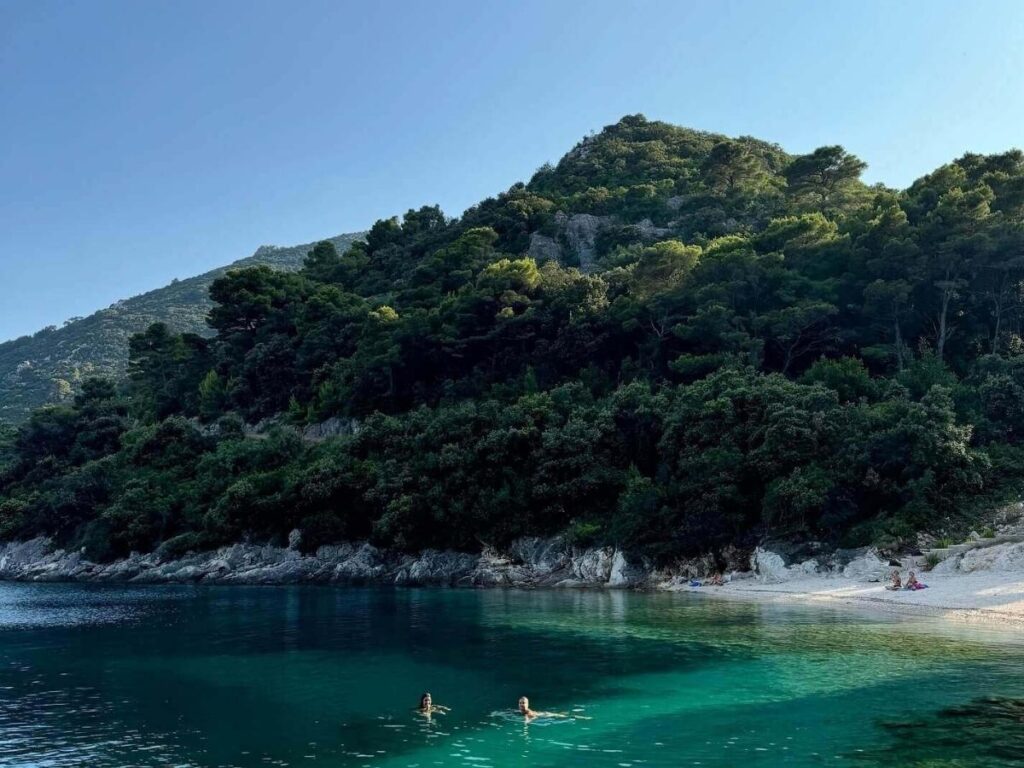 Pine trees running right down to the rocky shoreline on Mljet Island