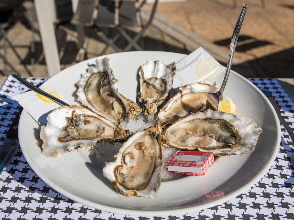 Oyster tasting on a rustic pier in the Ria Formosa near Olhão, Portugal