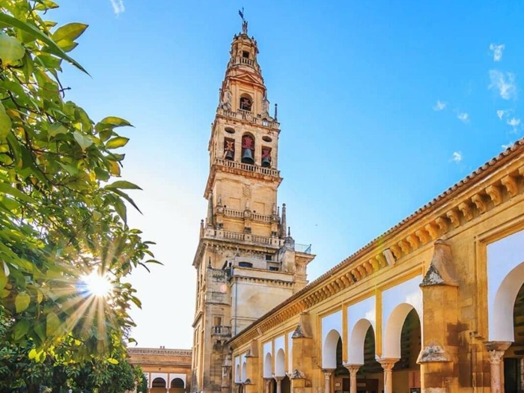 Quiet Patio de los Naranjos with orange trees casting soft morning shade