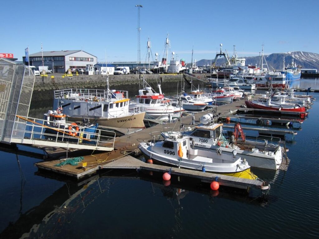 Fishing boats and tour vessels docked at Reykjavík’s Old Harbour on a calm day