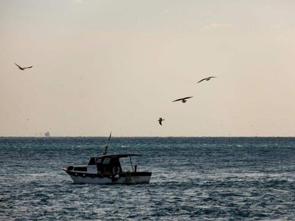 Birdwatching boat navigating quiet waters of Ria Formosa lagoon, Olhão, Portugal