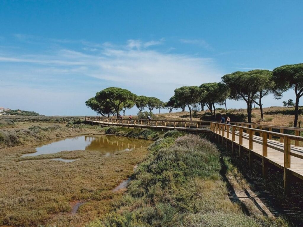 Wooden boardwalk across dunes and salt marshes with reeds and distant birds, Ria Formosa