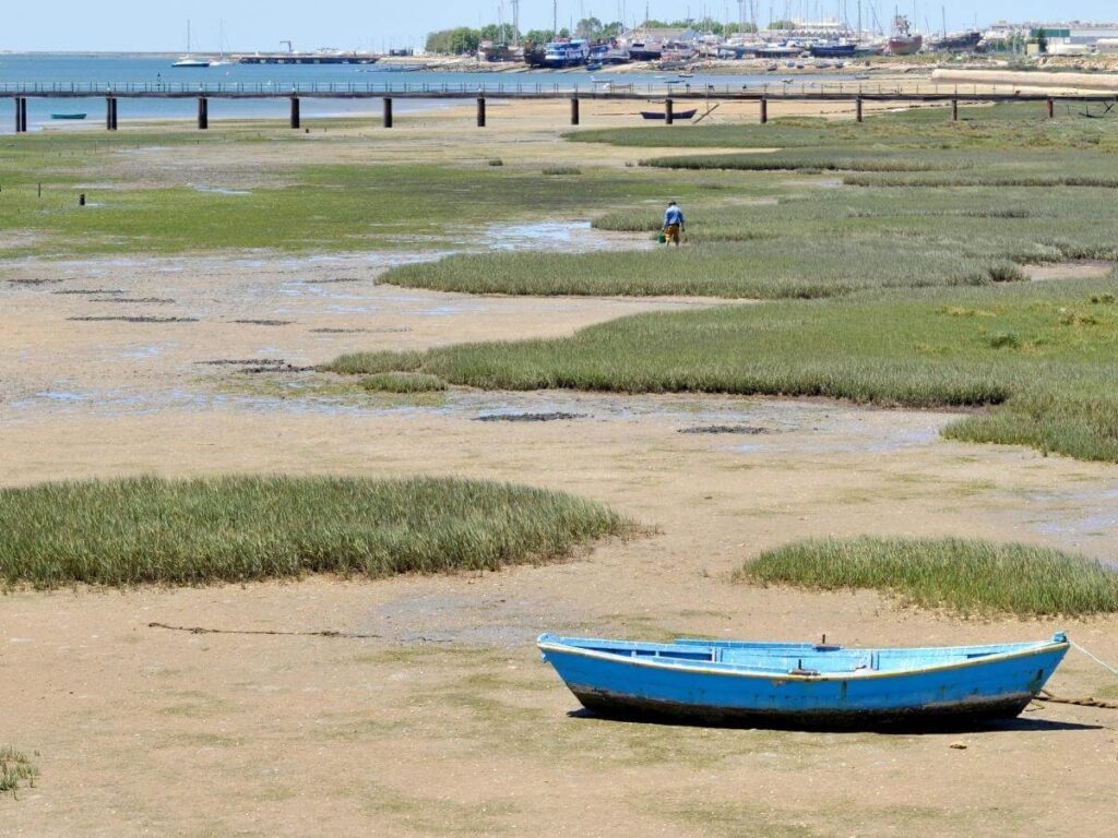Small tour boat gliding across the calm Ria Formosa lagoon near Olhão, Portugal