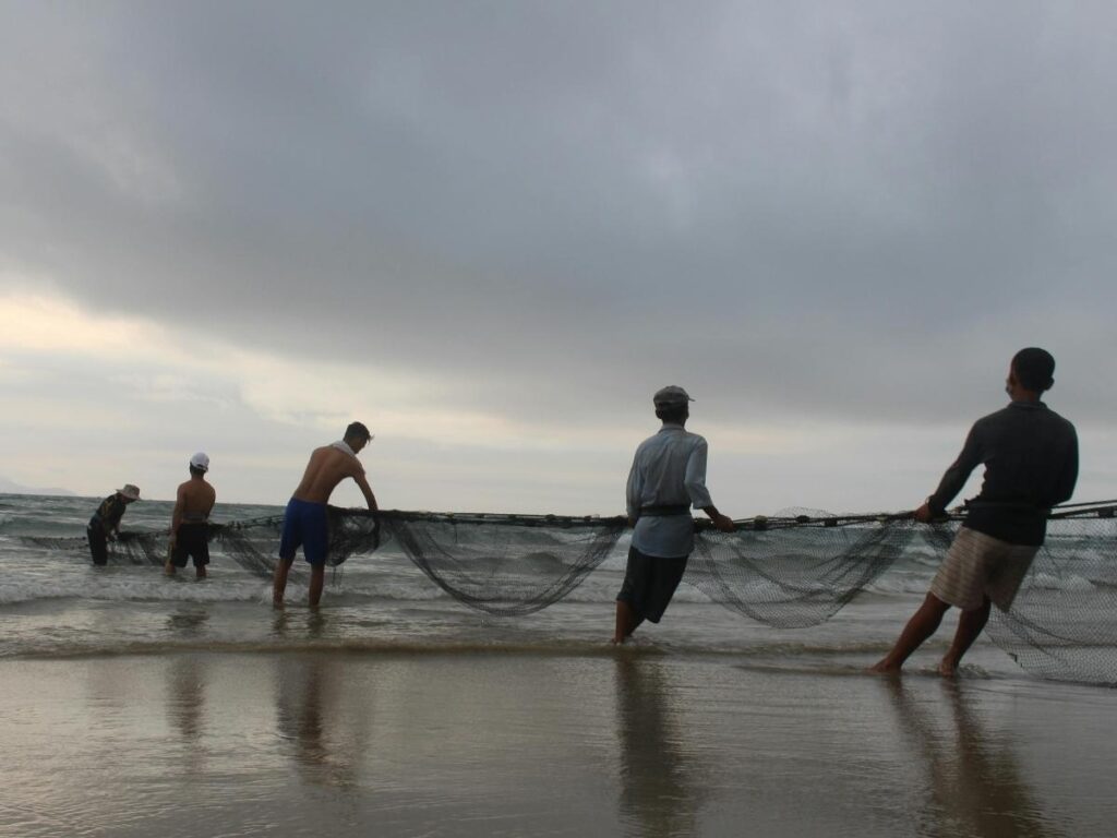 Fishermen unloading crates of sardines and octopus at Olhão harbour at sunrise