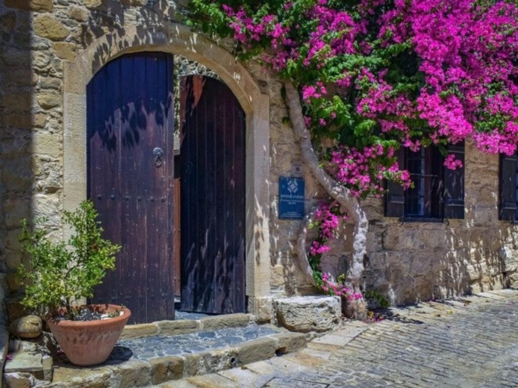 “Narrow whitewashed lane in Santa Cruz with blooming bougainvillea