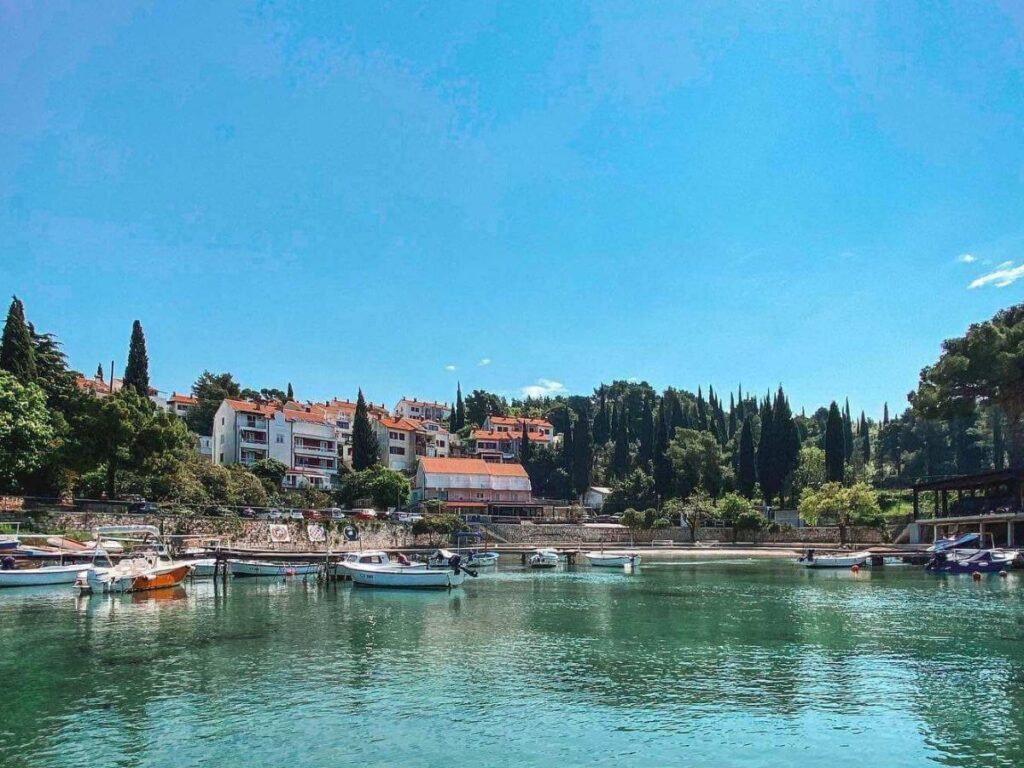 Calm Tiha Bay with swimmers using metal ladders and shaded pine trees behind the beach
