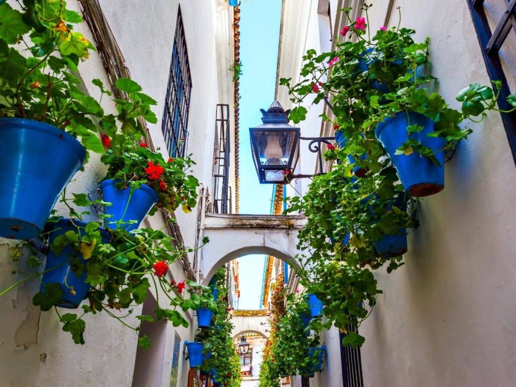 Narrow Calleja de las Flores alley lined with hanging flowerpots and the Mezquita tower in the distance