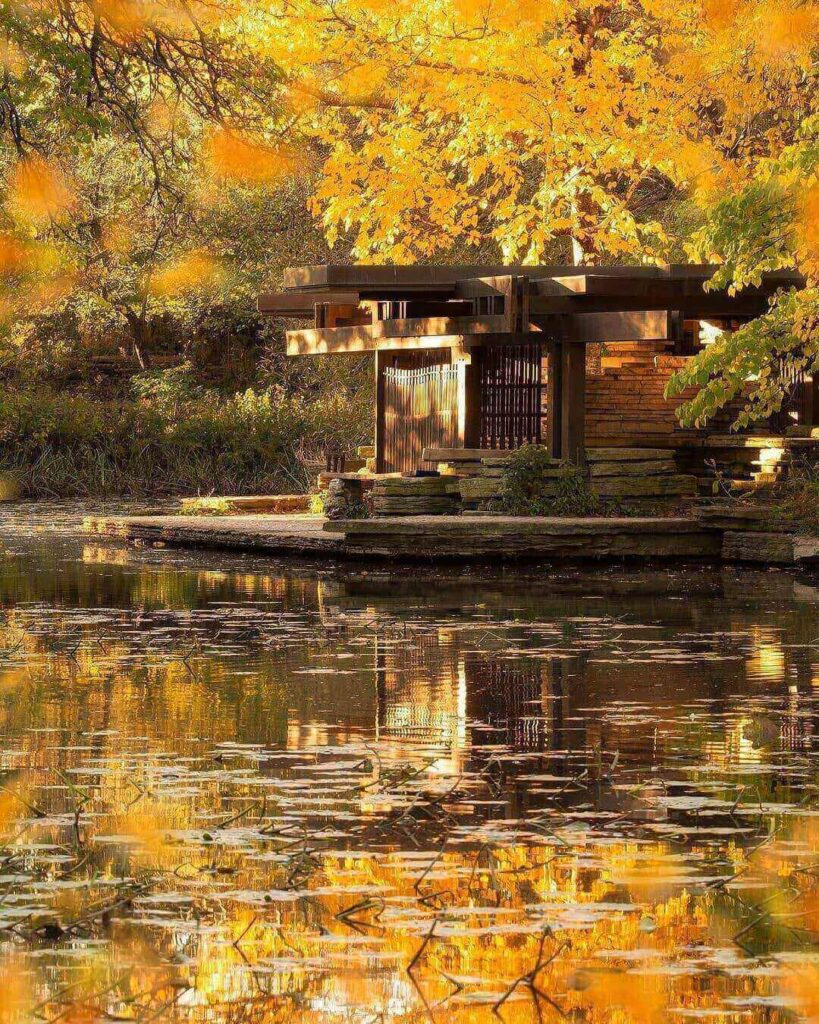 Alfred Caldwell Lily Pool