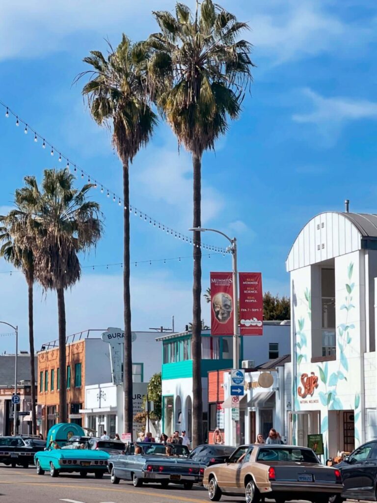 Stylish boutiques and cafes along Abbot Kinney Boulevard in Venice Los Angeles