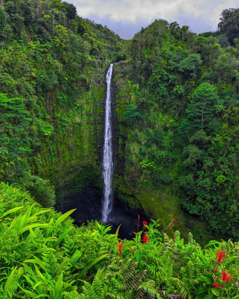Akaka Falls dropping into a lush tropical gorge on the Big Island