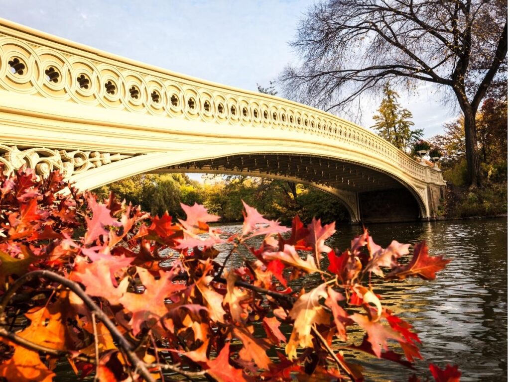 Bow Bridge in Central Park surrounded by autumn leaves and lake views