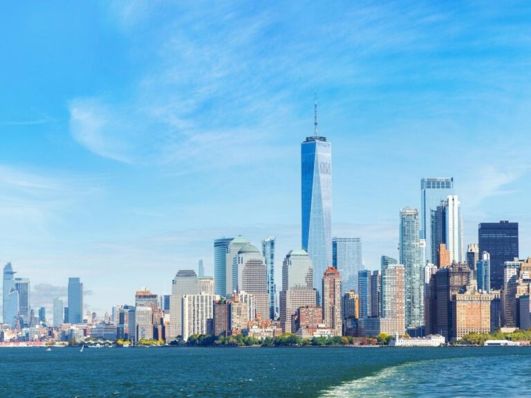 Elevated High Line park walkway with wildflowers and Manhattan skyline in New York City