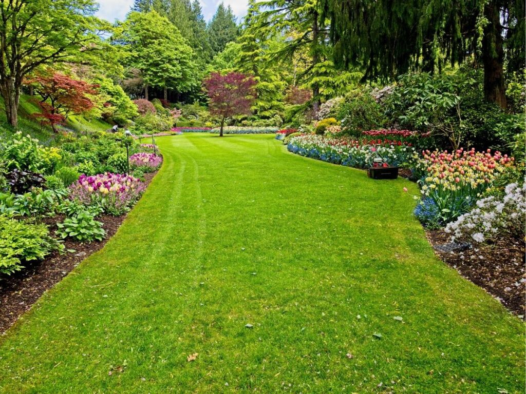 Spring wildflowers and native plantings along the High Line walking path in NYC