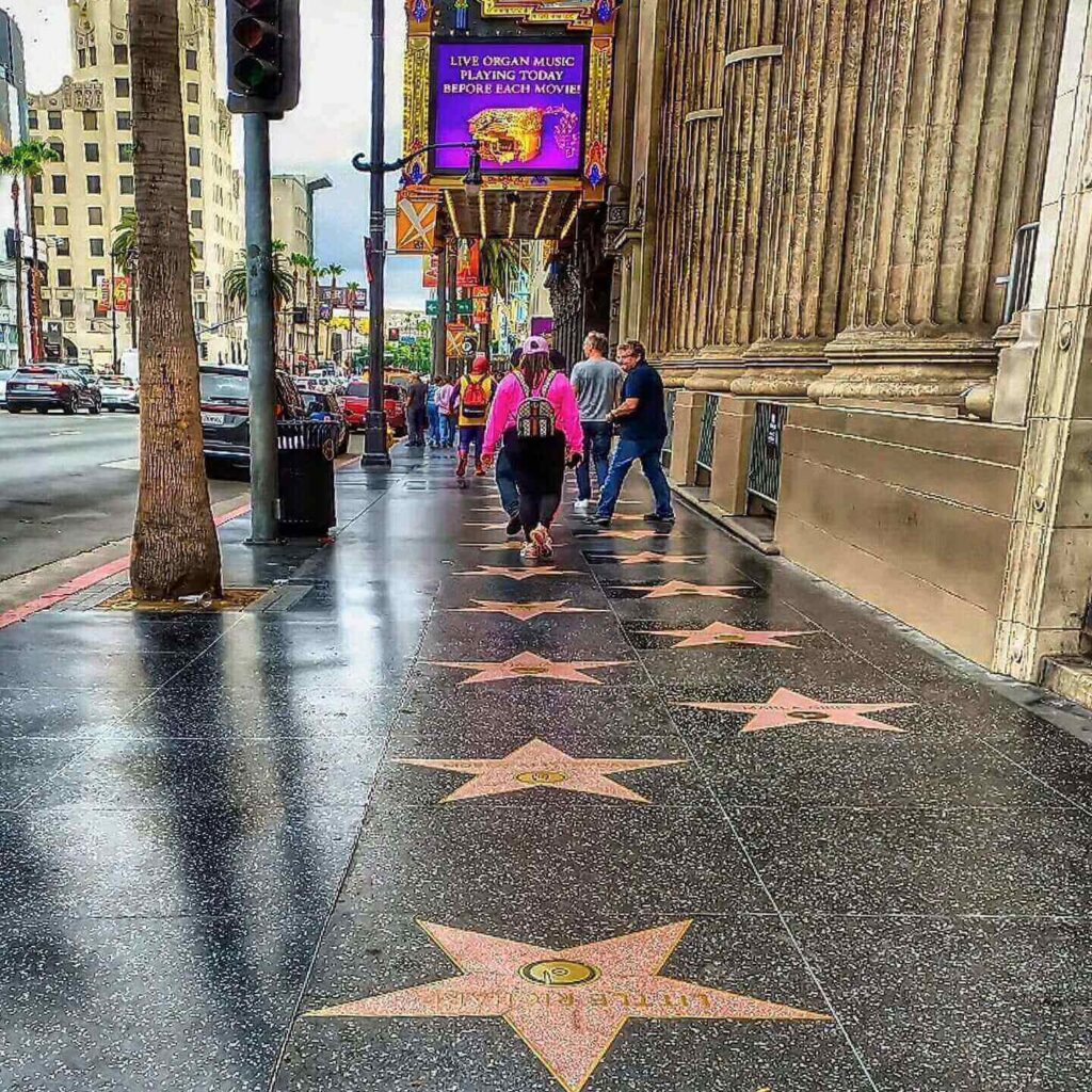 Pink star plaques along the Hollywood Walk of Fame on Hollywood Boulevard in Los Angeles