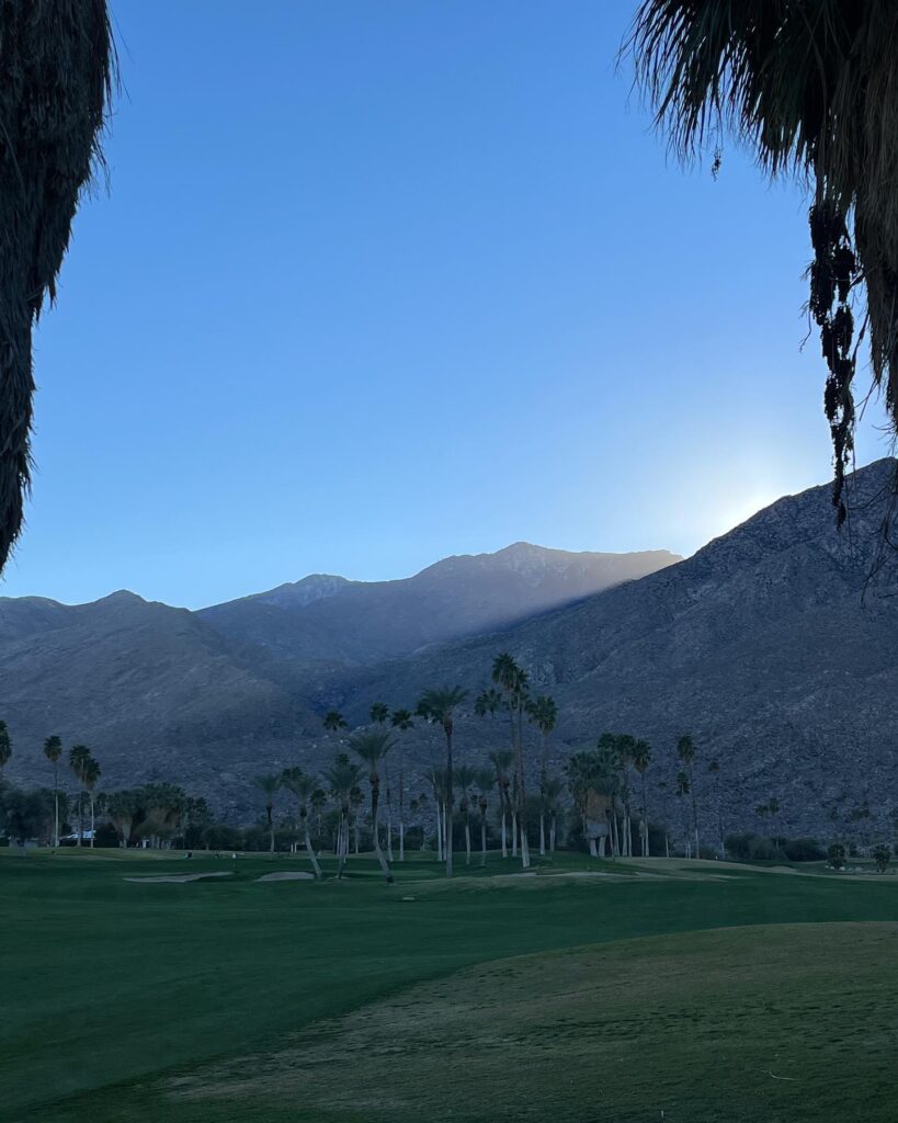 Palm grove and desert mountains at sunset in Indian Canyons