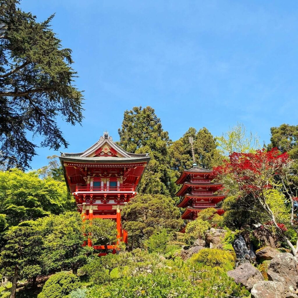 red bridge and pagoda inside the Japanese Tea Garden in Golden Gate Park