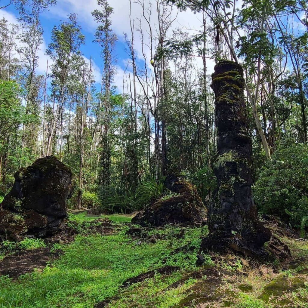Lava tree formations surrounded by lush tropical forest on the Big Island