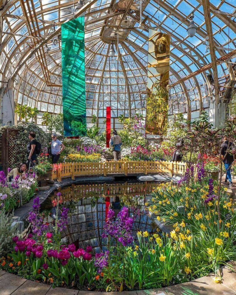 Interior tropical plants inside Lincoln Park Conservatory greenhouse